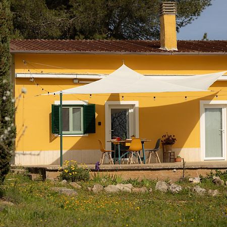 Casina Al Castello - Natura E Relax Castel Del Monte  Extérieur photo
