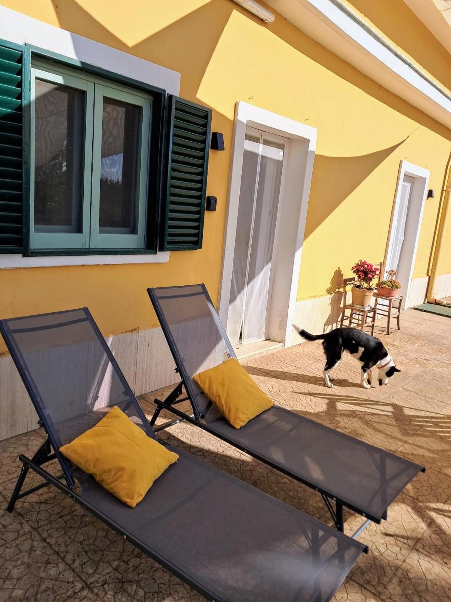 Casina Al Castello - Natura E Relax Castel Del Monte  Extérieur photo